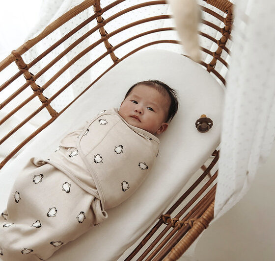 Babysvøb