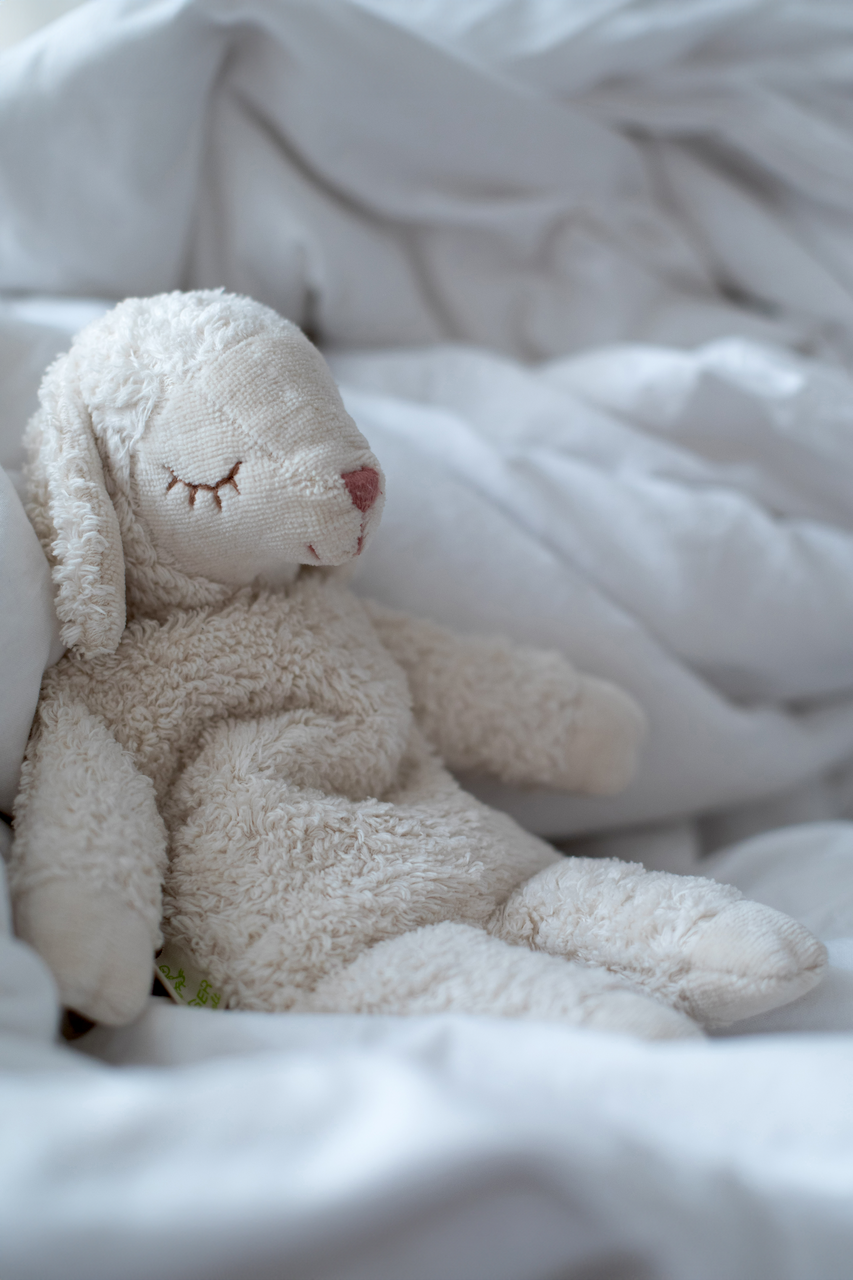 Senger Naturwelt varmebamse formet som et lille får i økologiske materialer, liggende i seng og skaber tryg og beroligende varme til baby og barn